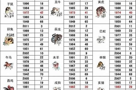 14年属什么|2014年出生的属什么,2014年是什么生肖